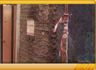 Lavori di consolidamento murario